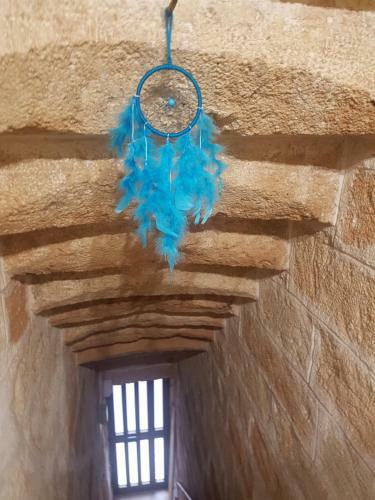 Apartamento Shedir - Locazione Turistica