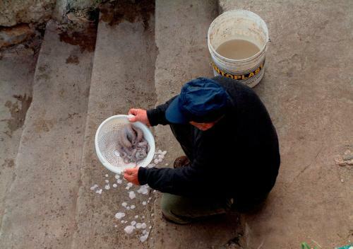 Casa Vacanze Vico Farinella