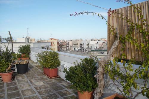 Bed & Breakfast Mandorleolio