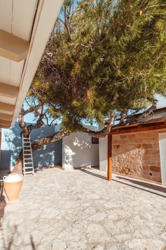 Bed & Breakfast Echi Di Puglia Marsento