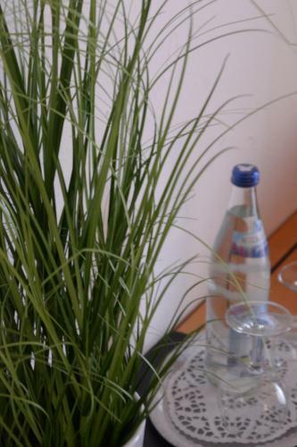 Hostal Landhotel R�fleuten
