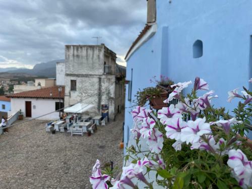 Apartamento Casa Il Giglio Bianco