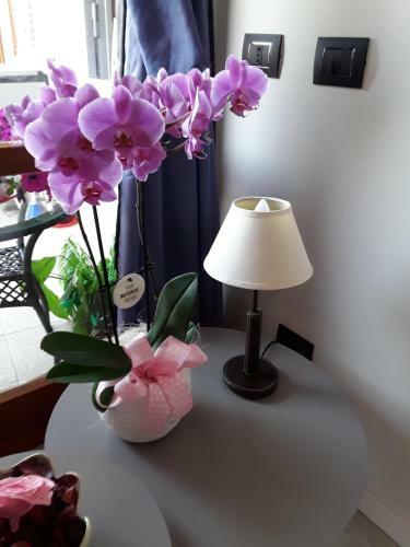 Bed & Breakfast B & B La Terrazza Sul Mare