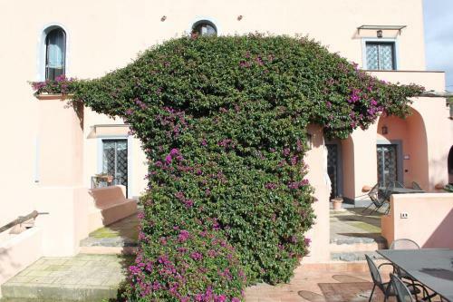 Villa Flegrea House
