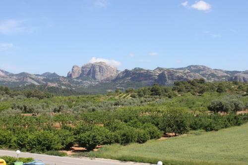 Camping Els Ports