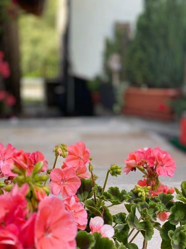 Chambres D'hotes De Montagne Berthod B&B 2