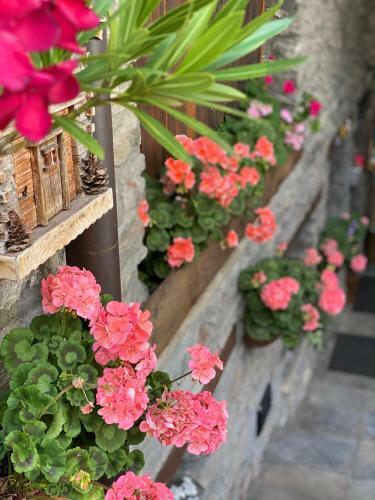 Chambres D'hotes De Montagne Berthod B&B 2