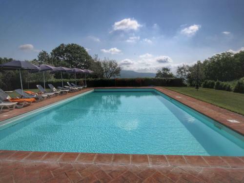 Cosy Farmhouse In Proceno With Swimming Pool