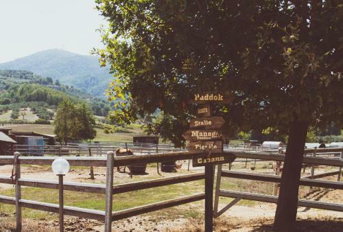 Agroturismo Ceppeto 1