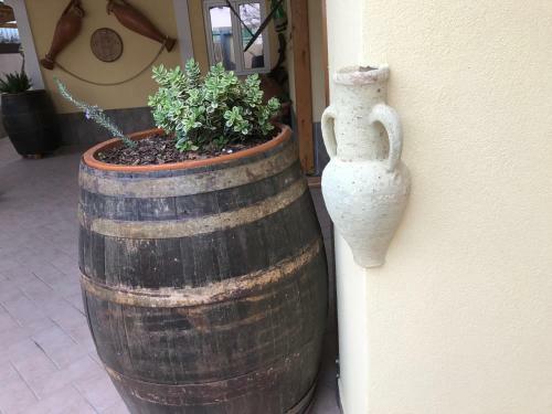 Bed & Breakfast La Cantina Dello Sgatto