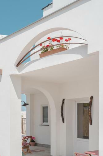 Hostal Calacala Rooms & Farm Experience