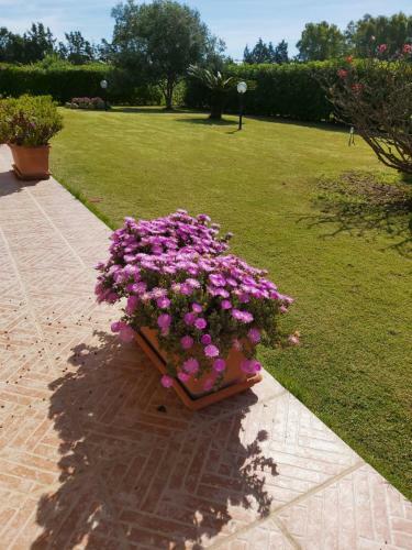 Hostal Casa Martina