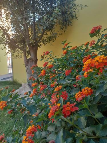 Apartamento Appartamento A Pula In Zona Residenziale