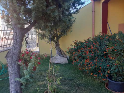 Apartamento Appartamento A Pula In Zona Residenziale