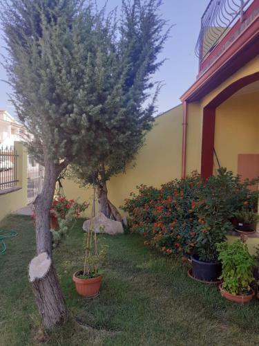 Apartamento Appartamento A Pula In Zona Residenziale