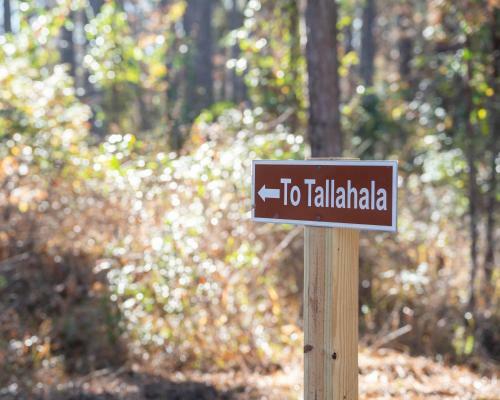 Tentrr State Park Site - Mississippi Clarkco State Park - Trailside E - Single Camp