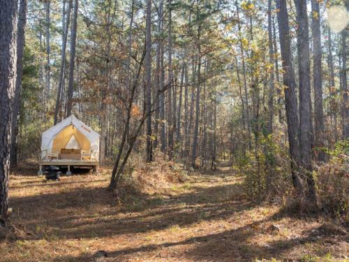 Tentrr State Park Site - Mississippi Clarkco State Park - Trailside E - Single Camp