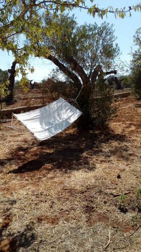 Apartamento Trullo Contrada Specchi