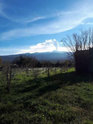 Agroturismo Agriturismo Sole Di Sicilia