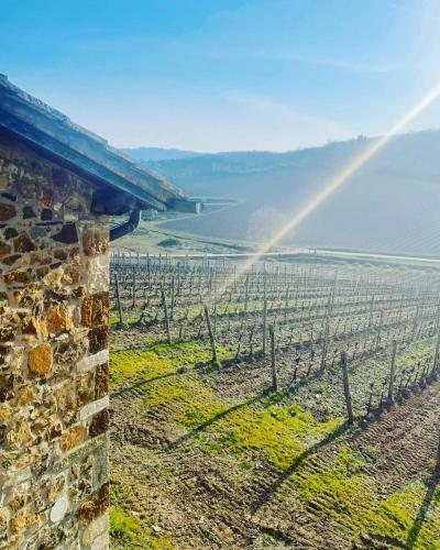 Hotel Locanda Podere Le Vigne