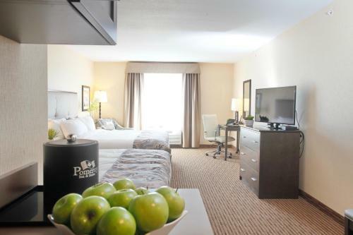 Hotel Pomeroy Inn & Suites At Olds College