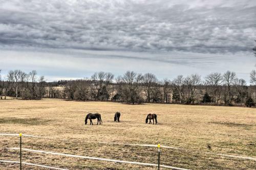 Apartamento Buffalo Bunkhouse Studio On Horse Farm!