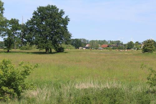 Spreewald Ferienwohnung L�bben
