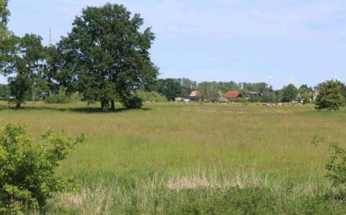 Apartamento Spreewald Ferienwohnung Noack