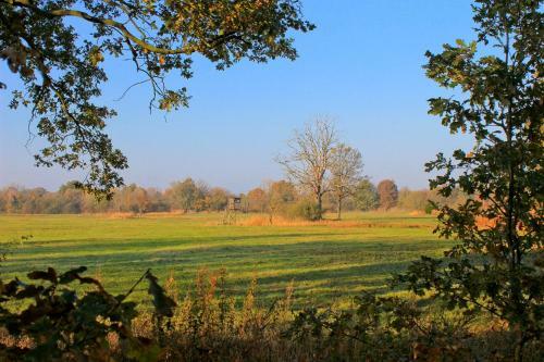 Apartamento An Der Hainm�hle