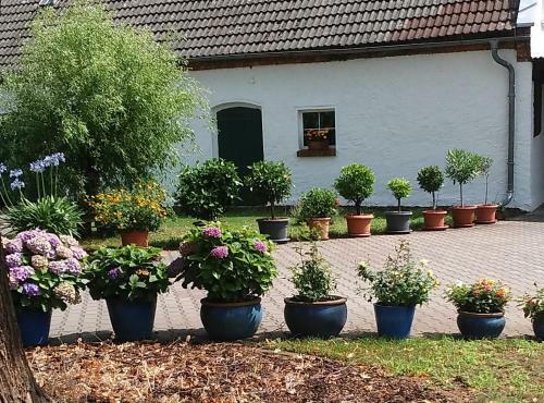 Apartamento Ferienwohnung Lilie