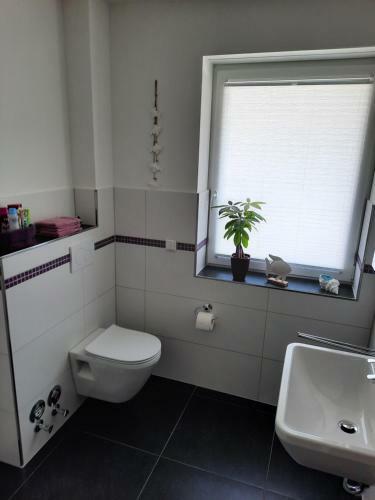 Apartamento Ferienwohnung "zum Haidmann"