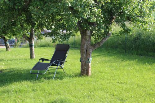 Apartamento Ferienwohnung Am Kugelbaum