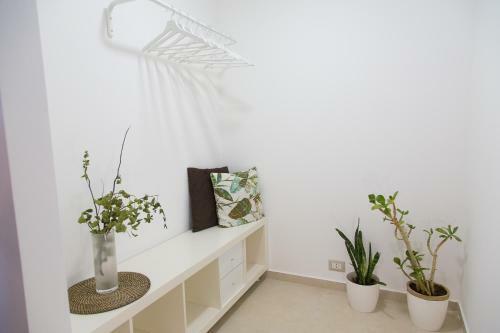 Hostal Tocco Barocco - Locazioni Brevi -