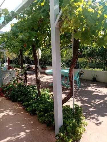 Hostal La Dimora Di Nonno Nuccio