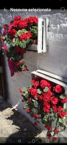 Hostal La Dimora Di Nonno Nuccio