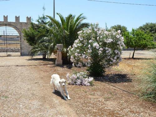 Villa Castiglione 1863 - The Real Sicilian Holiday