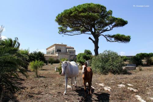 Villa Castiglione 1863 - The Real Sicilian Holiday