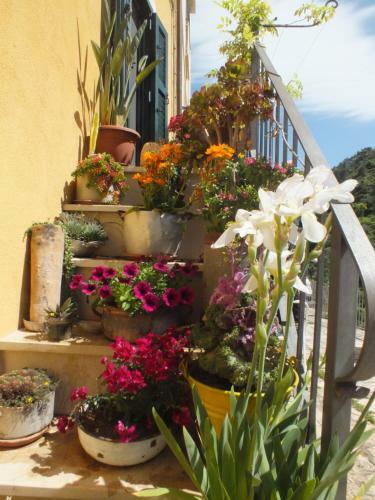 Apartamento La Casa Di Sveva