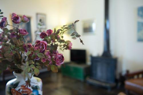 Holiday Villa Gelso - Ragusa