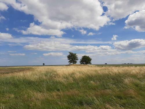 Apartamento Ferienwohnung Fischerstieg