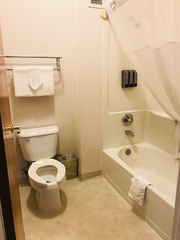 Hotel Quality Suites Historic Downtown