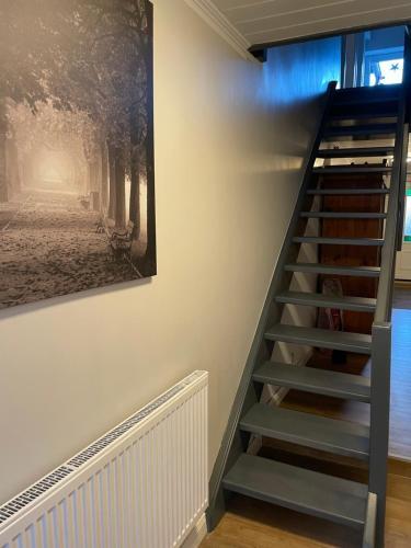 Inselhaus Malchow