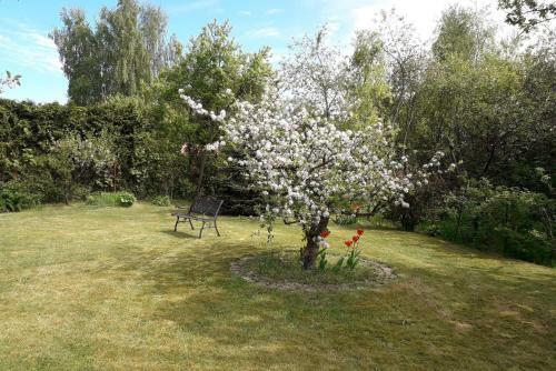 Apartamento Holiday Flat Malchow - Dms02110a-p