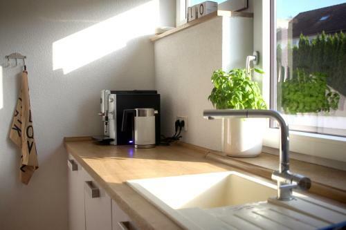 Apartamento Zuhause Mit Berg-und Bodenseesicht