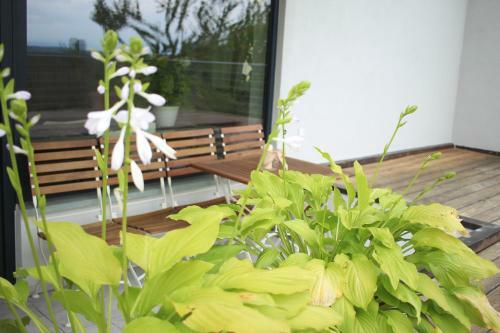 Apartamento Zuhause Mit Berg-und Bodenseesicht