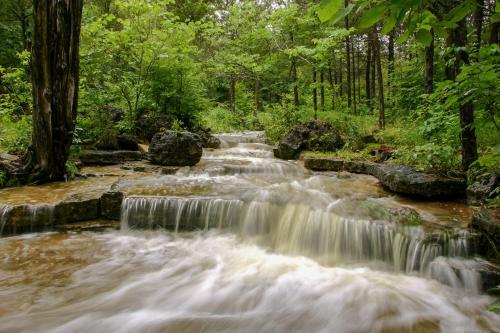 Fall Creek Resort 590-2