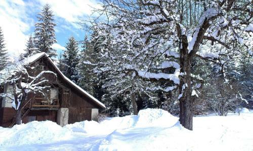 Apartamento Haus Zur Klamm