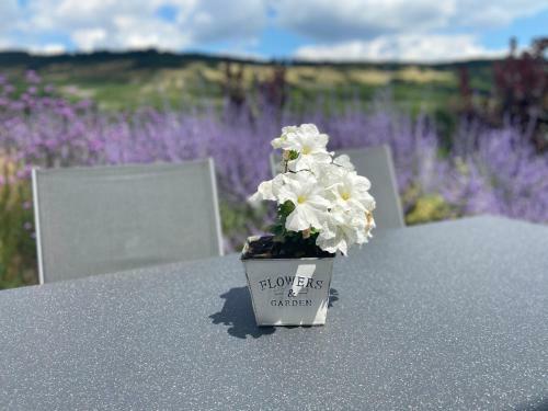 Apartamento Ferienwohnung Weinbergblick