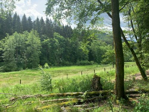 Apartamento Appartement Rothaarsteig