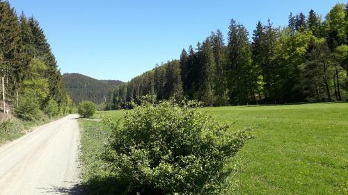 Apartamento Ferienwohnung Fr�hlings